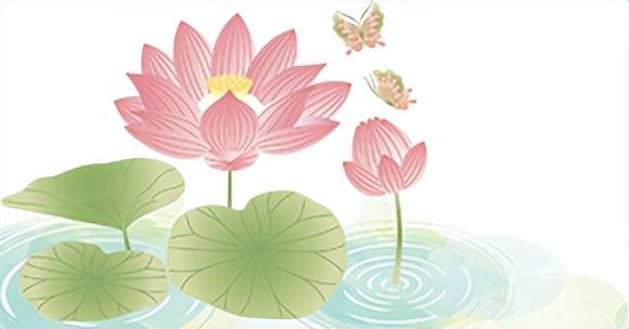荷花市集火出圈！原来这些花是坐公交、地铁来的