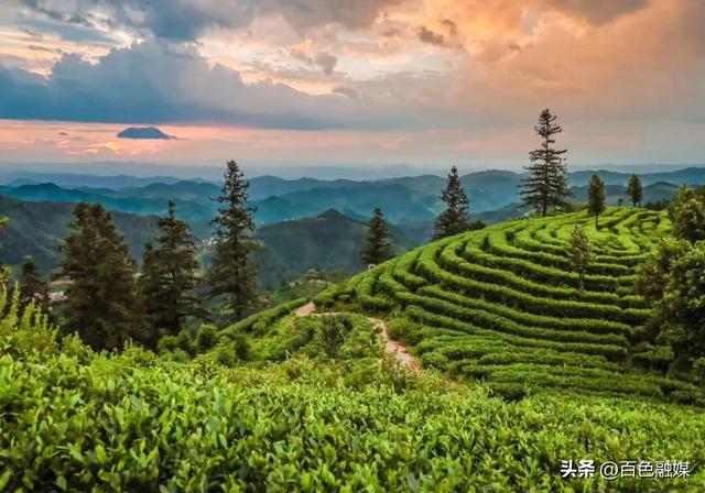 “农文旅”融合“串”起诗意与烟火