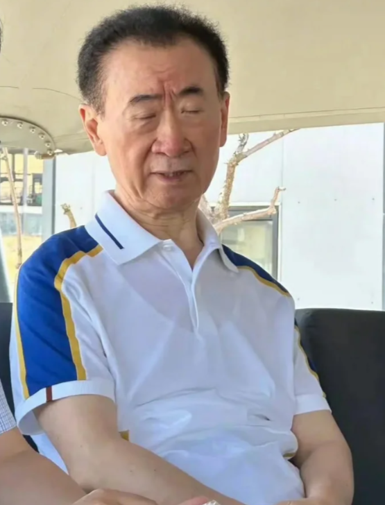 一年蒸发八百多亿！71岁的王健林财富缩水严重	，王思聪仍在外玩耍