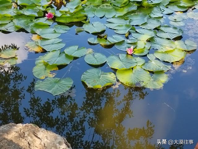 【原创】滨河公园遛弯小记