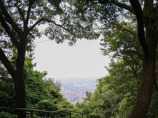 体荟四季｜秋日遛娃去哪？答案藏在这5座森林公园里
