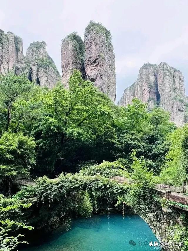 探秘雁荡三绝之一的绝美风光！来一次深度游~