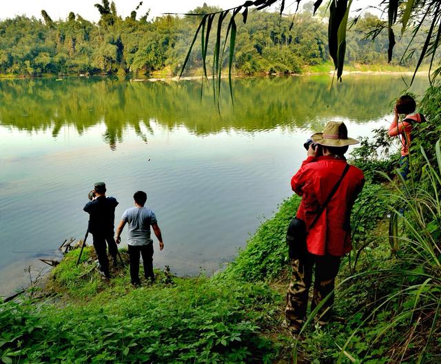 綦河故事讲不完
