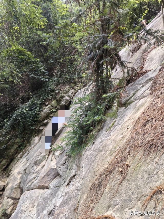 爬山，要量力而行，安全第一，爬歌乐山911更需如此