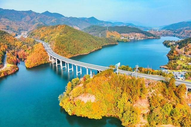 山山秋色如画 树树红叶醉人