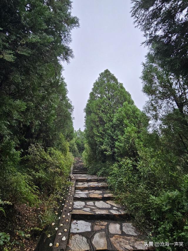 向大山出发，探索大山的奥秘，享受大山的氧吧，观赏大山的美景