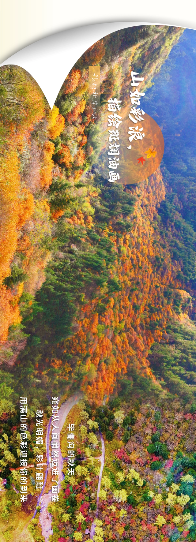 拍了拍毕棚沟的秋天：你的色彩已存档！