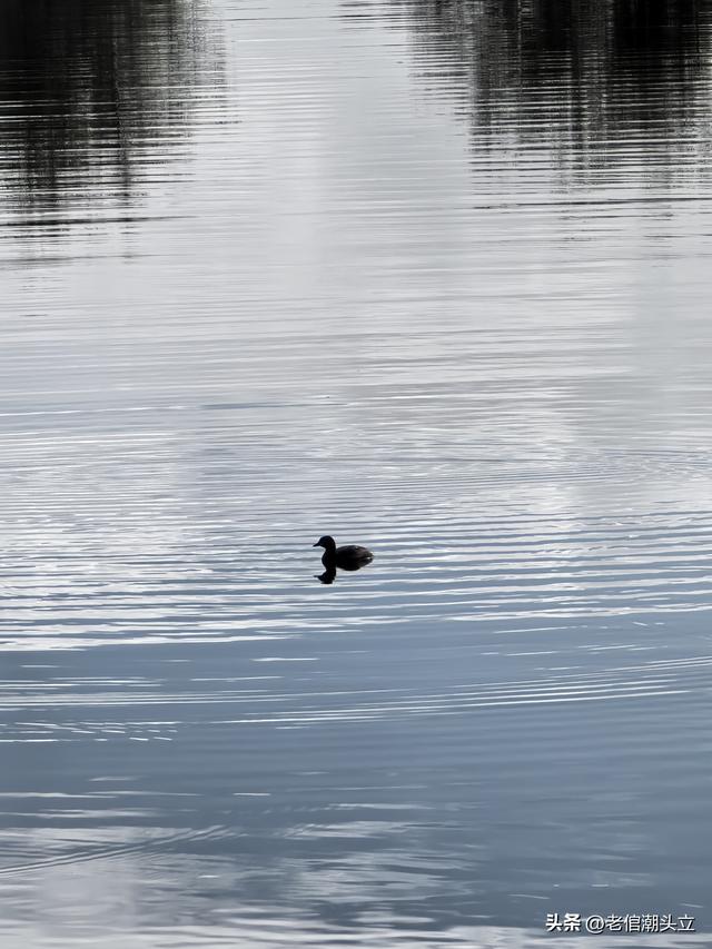 冬天的早上 晒着太阳从大观楼徒步到西山茶马花街 是什么样的感受？