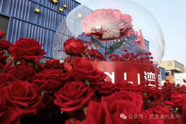 走!去北京通州“湾里”!可劲玩~