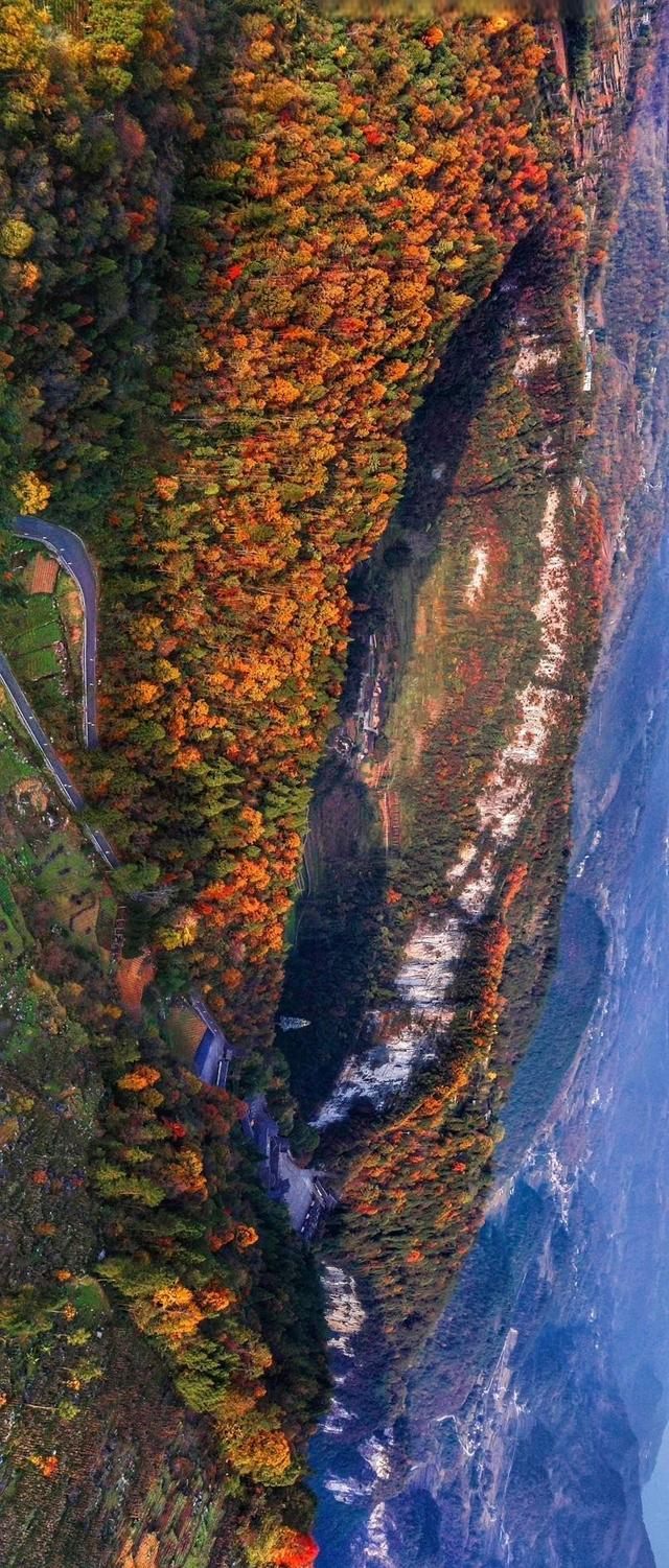 【雄奇山水 冬韵武隆】彩叶织锦·山野层林映画