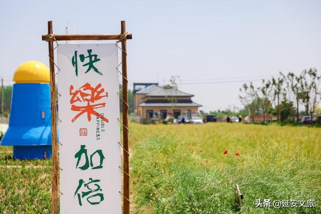 2026年“5·19中国旅游日”倒计时城市（东营）活动举办