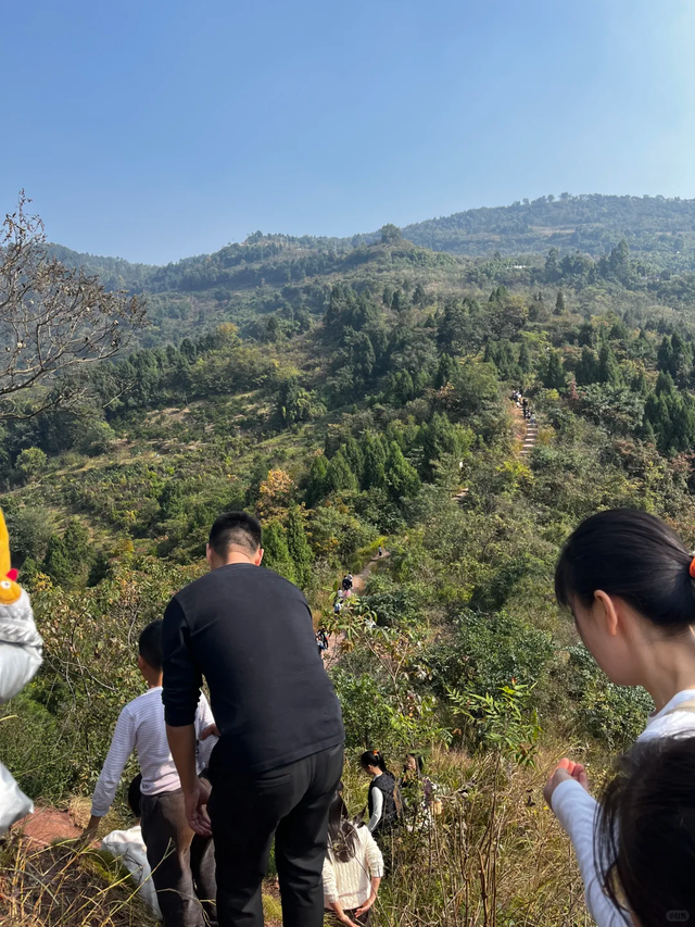 成都0.5h超小众亲子路线，登高望远摘果子，不走寻常路~