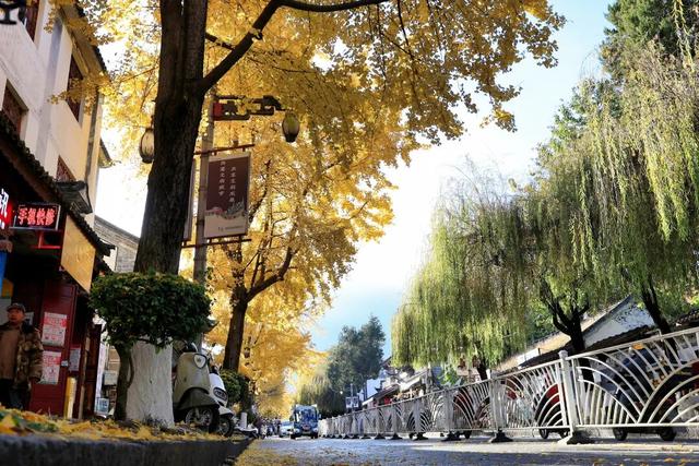 大理“金色童话”背后藏“秘密”