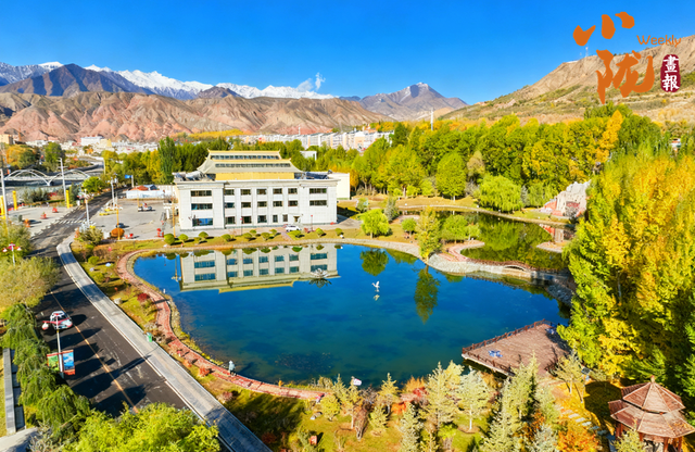 【小陇画报·426期】肃南：多彩秋日 满目金黄