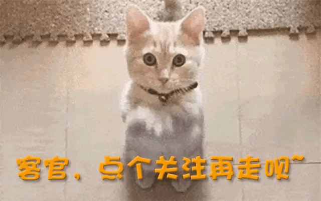 善恶终有报！马蓉没想到被抛弃的王宝强，却是儿女眼中“好男人”