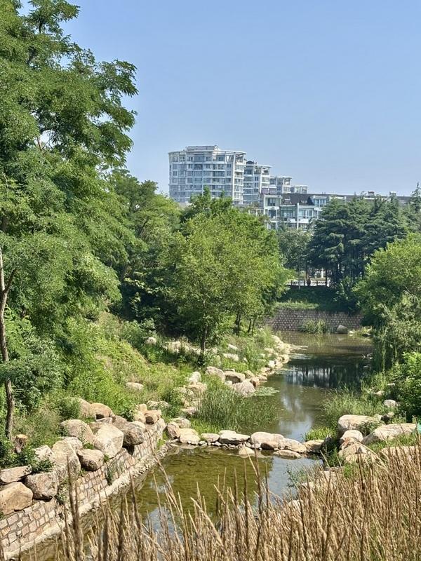 一座藏在青岛主城区内的森林氧吧