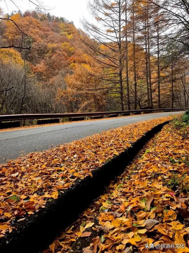 车过神农架【原创】作者：原铁十师陶玉和