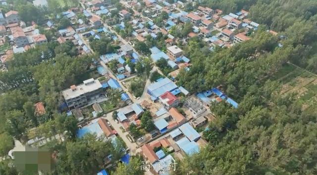 魅力曹县楼庄镇