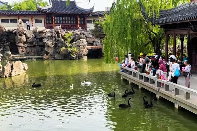 避暑秘境丨盛夏八月，临清宛园诚邀您共赴一场穿越千年的清凉之约！