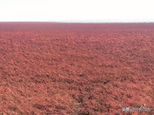 2025辽宁赏秋之旅日记(5)——从本溪前往盘锦 游览红海滩景观