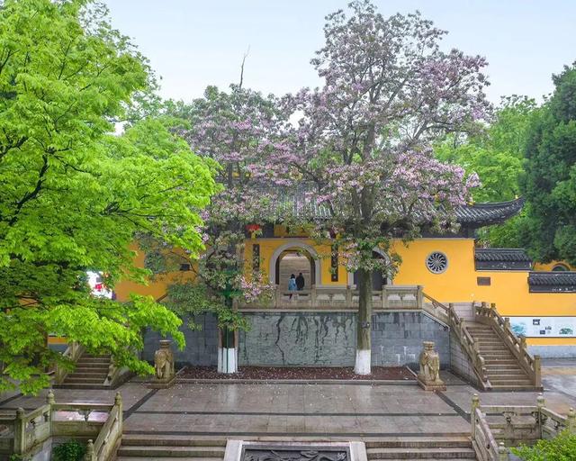 苏州十大“寿星”出炉！