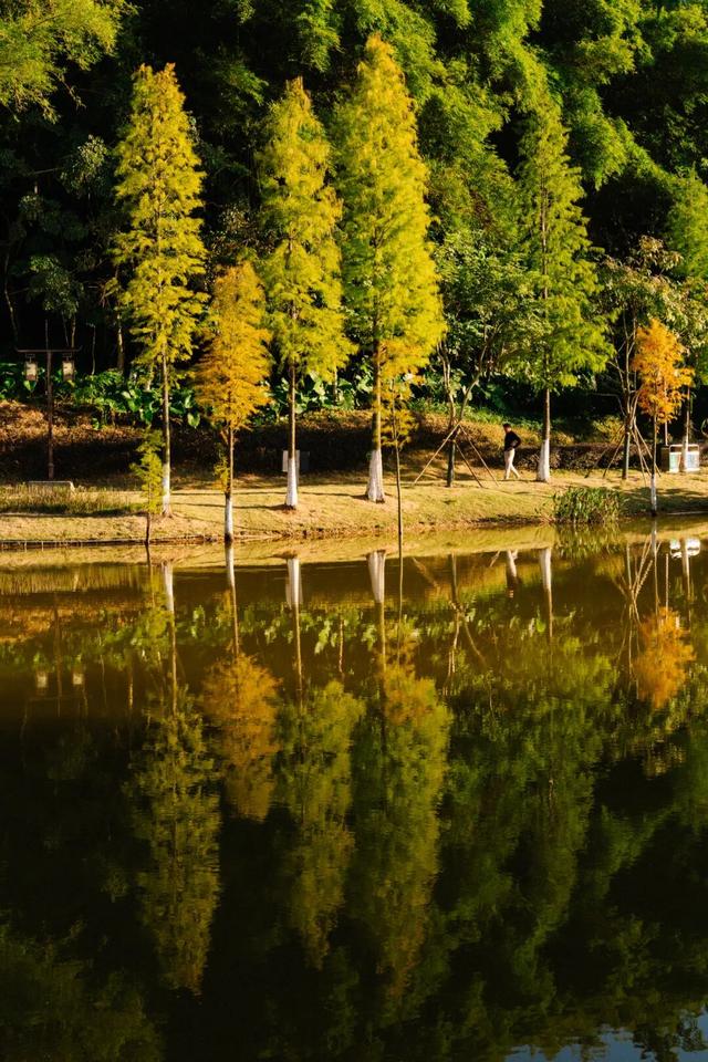 就现在，一起去南山公园遛弯~