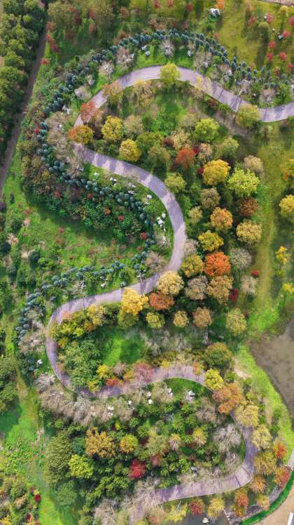 生态梦幻岛色彩缤纷