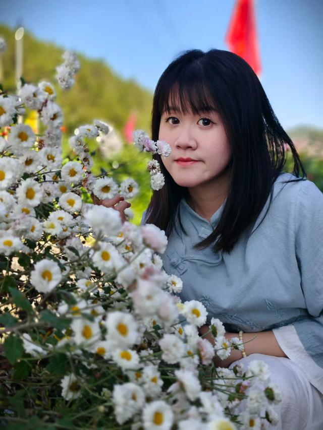 太美了！肇庆高要百亩菊花盛开