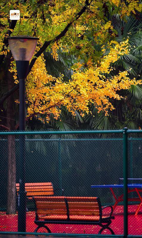 古城与秋叶的交响