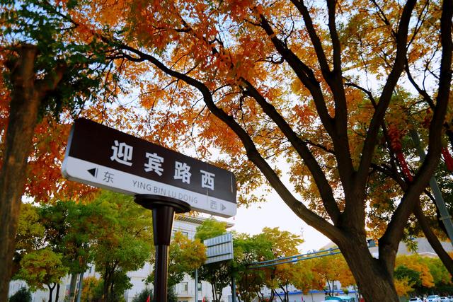 请收下，这封古浪秋日的请柬