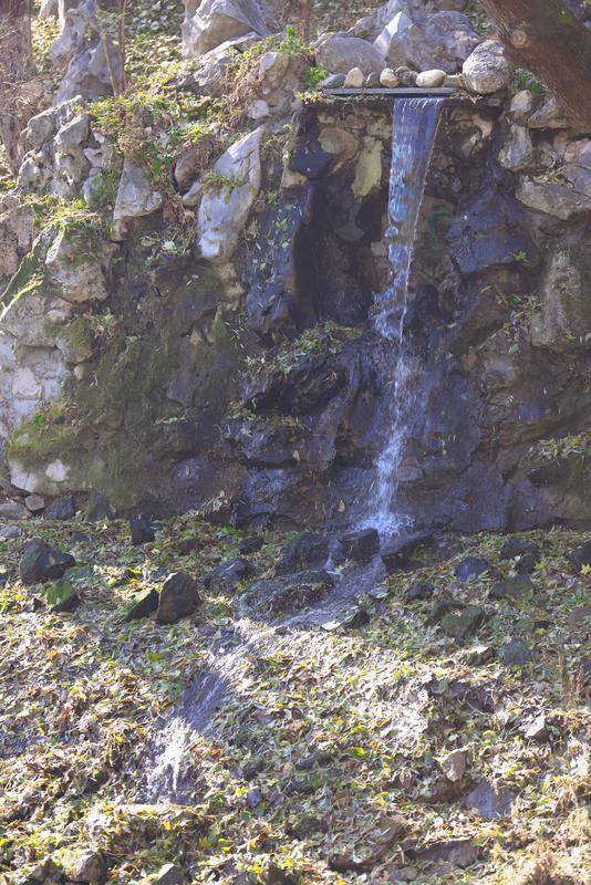 秋之彩色吉林｜层林尽染，鹿影翩跹！这里的秋天美成一首诗