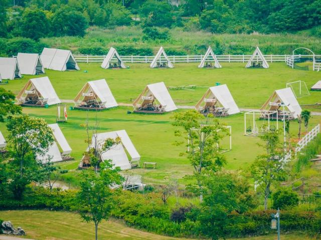 孝感日报整版报道汉川：一湖一生活，一岛一世界