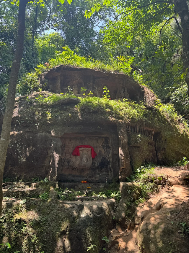 邛崃白鹤山千年绿道，成都0.5h直达，玩转古寺禅意+森系秘境！