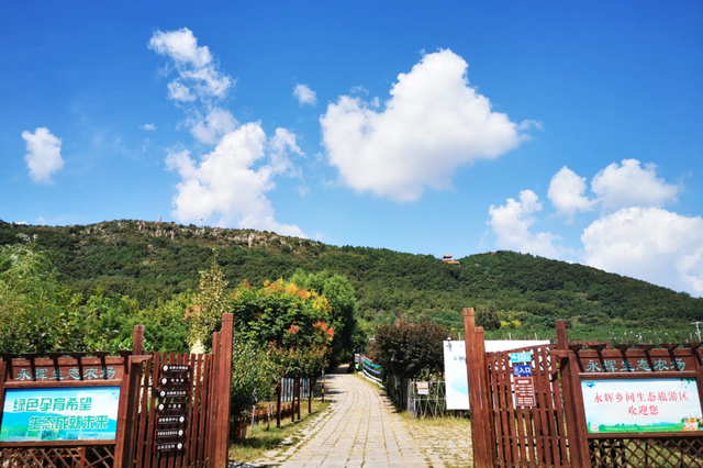 奔“县”潍坊！“龙”游诸城，诸事皆成！