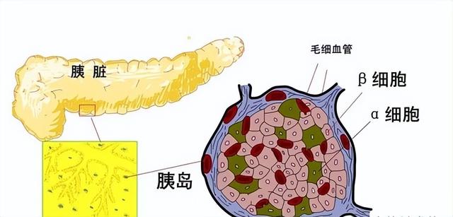 南瓜再次被关注！医生发现：胰腺炎患者吃南瓜时，一定留心这6点