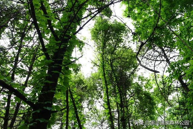 转给那个总说“没时间去远方”的朋友：你看，诗与远方，其实就在2小时车程外