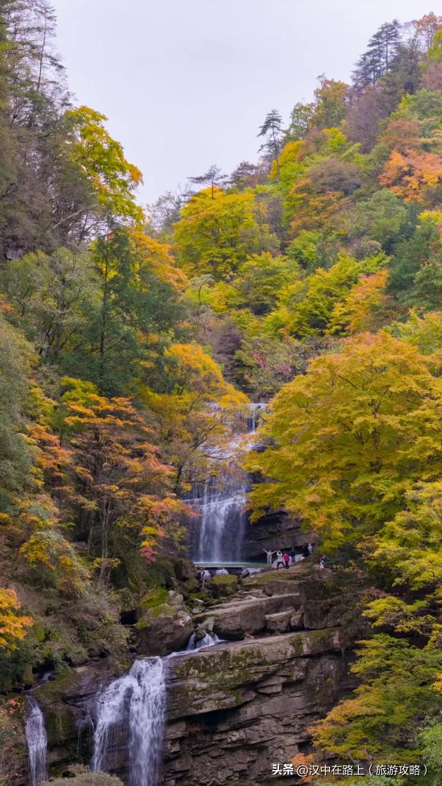 多图实拍！这才是汉中的秋日顶流！