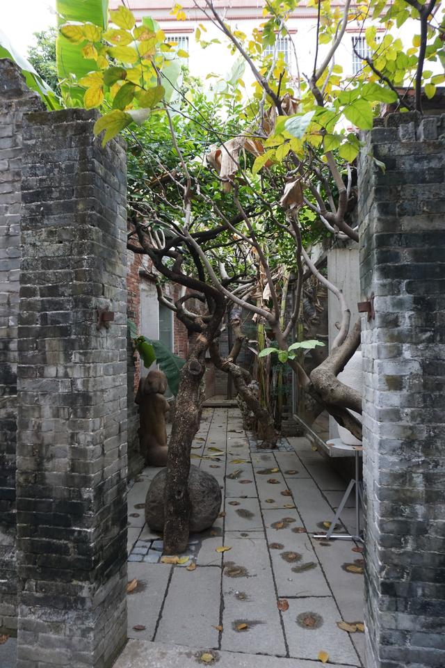 佛山真好逛——大墩村阿志茶空间
