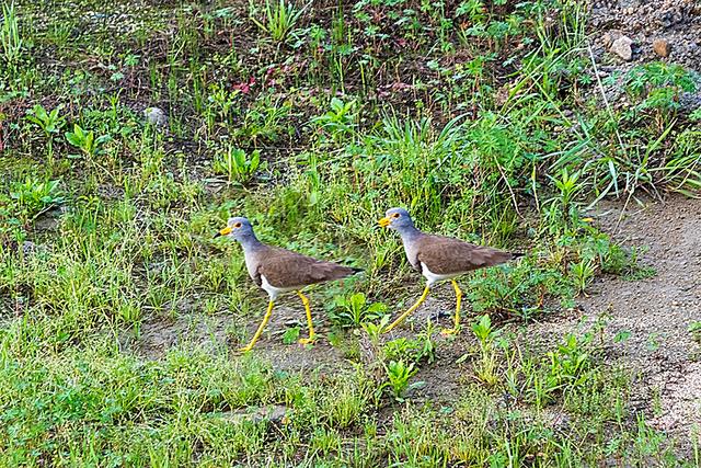 烟雨大别山，醉美望天村