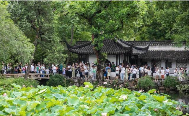 经济下行期，旅游咋还火出圈了？