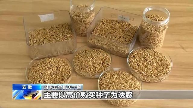 央媒通报！又一间谍行为曝光，作案手法阴险，粮食安全受威胁