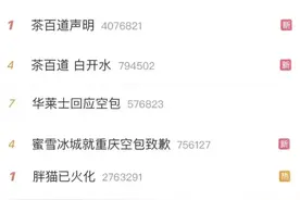 胖猫”姐姐发声！网友点外卖祭奠“胖猫”却遇“空包”，品牌道歉图片