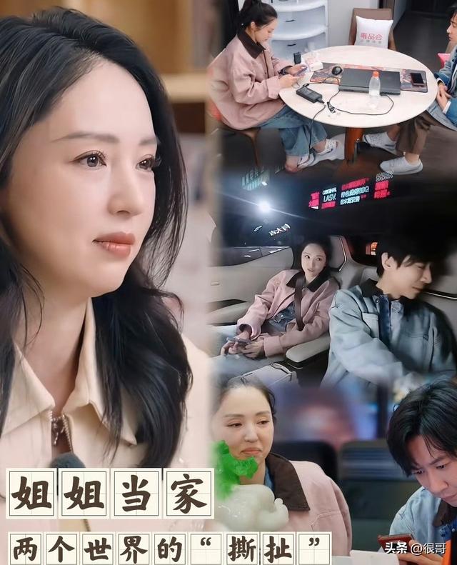 博主点评董璇和张维伊的婚姻关系