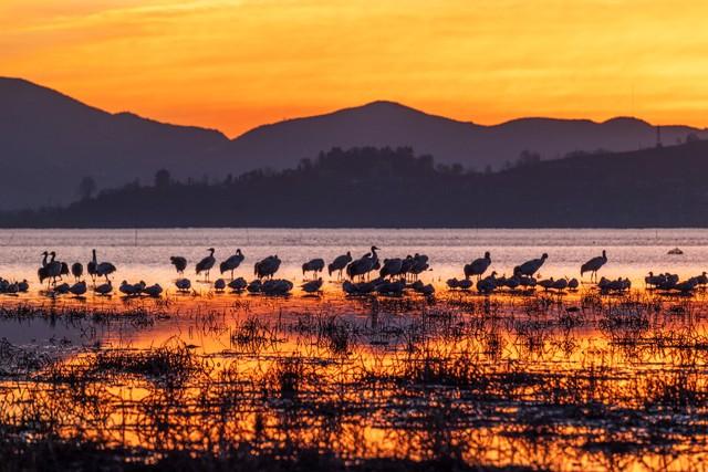 毕节，一个被严重低估的旅游目的地！