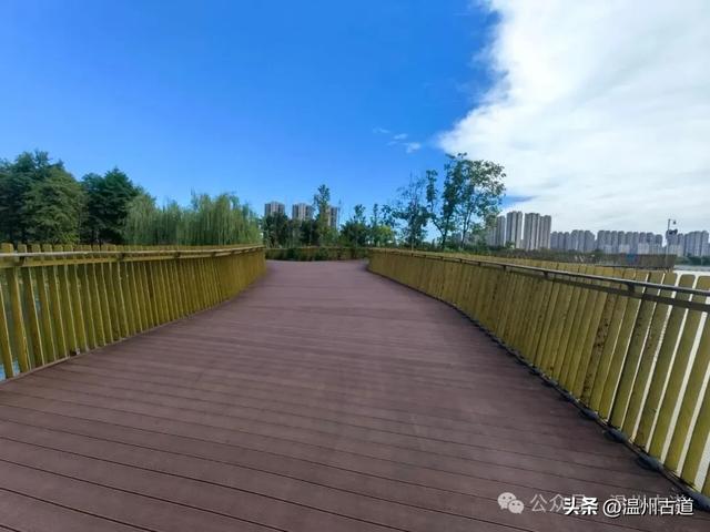 浙南最大的乡镇湿地公园原来在这里！