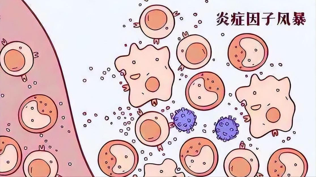 头皮上总长“疙瘩”？这多半与5个因素有关，可别不当回事！