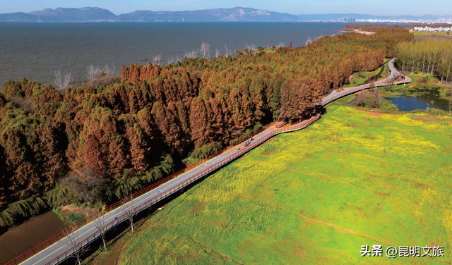 新新新新新新！滇池旅游黄金岸线的“含新量”在哪？快戳→