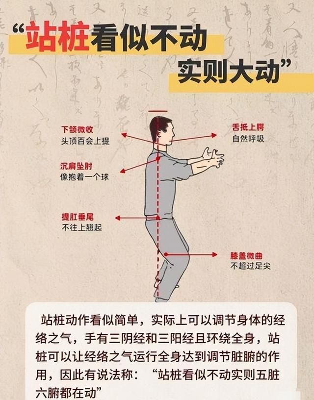 站桩实修关隘解析：从“肩撑肘横”到“逆腹式呼吸”的武学贯通