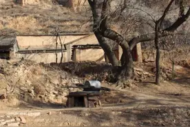 知青往事：我那段刻骨铭心的知青经历，有苦有乐也有美好回忆图片