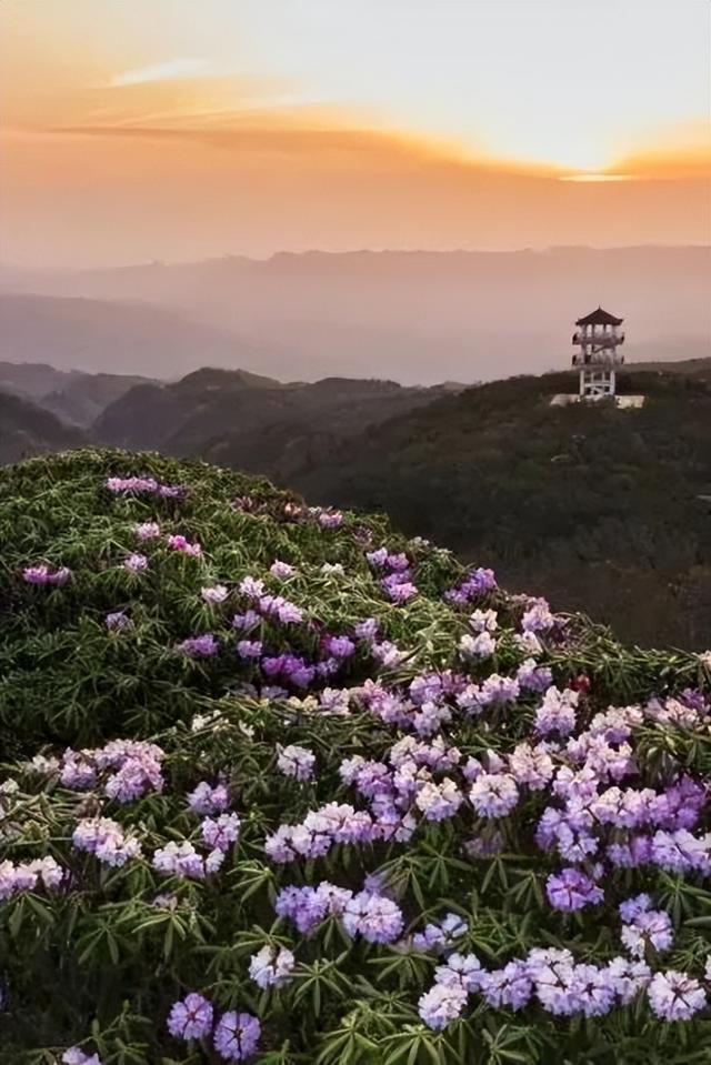大美广元 邀您来宿 | 10家“最美民宿”新鲜出炉！住进山水里的夏天